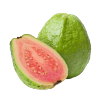 A ripe green guava highlighting natural nutrition and Fresh Fruits Wellness.