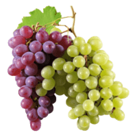 A bunch of fresh grapes emphasizing natural nutrition and Fresh Fruits Wellness.